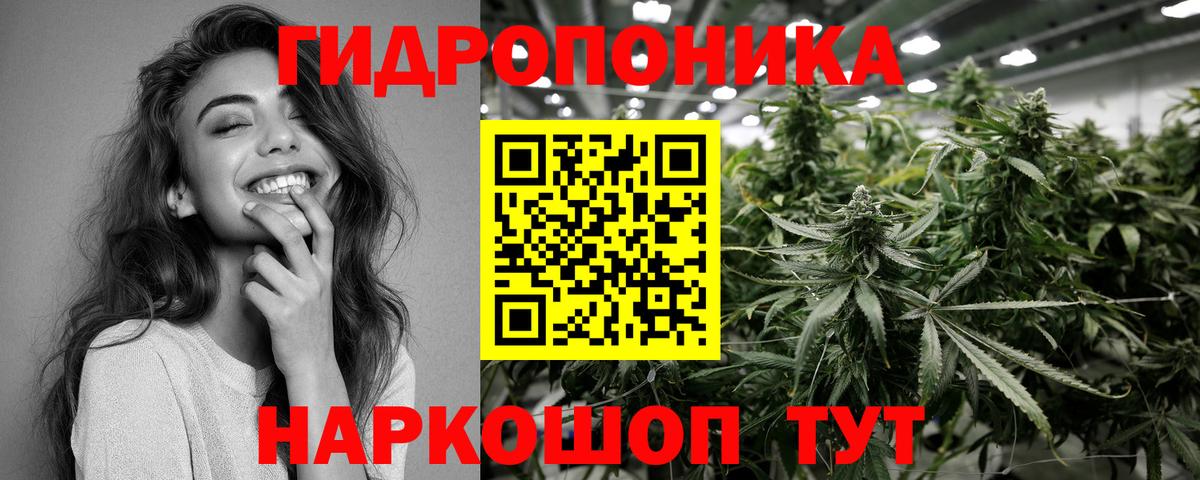 Бошки марихуана White Widow Чапаевск